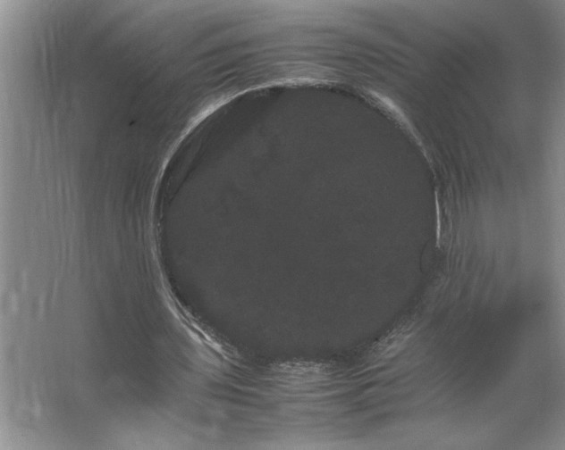 X0000062630435200512281559