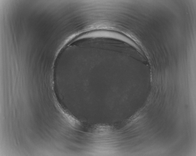 X0000062630438200512281559