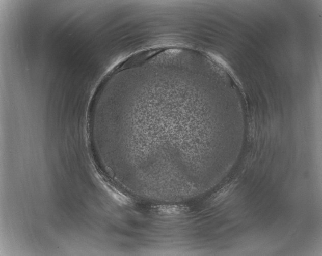 X0000062630439200512281559