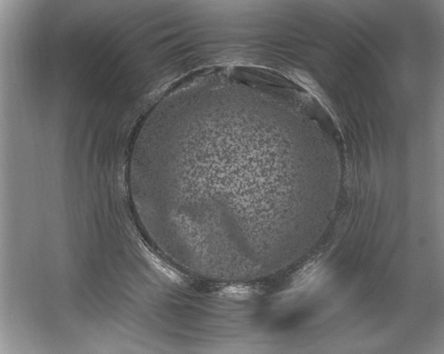 X0000062630441200512281559