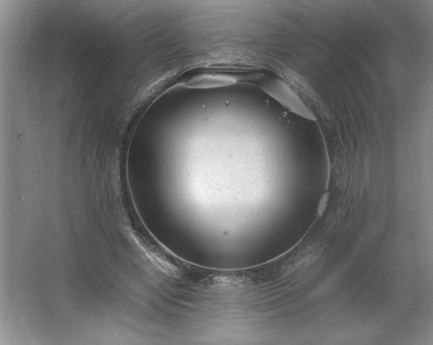 X0000062630442200512281559