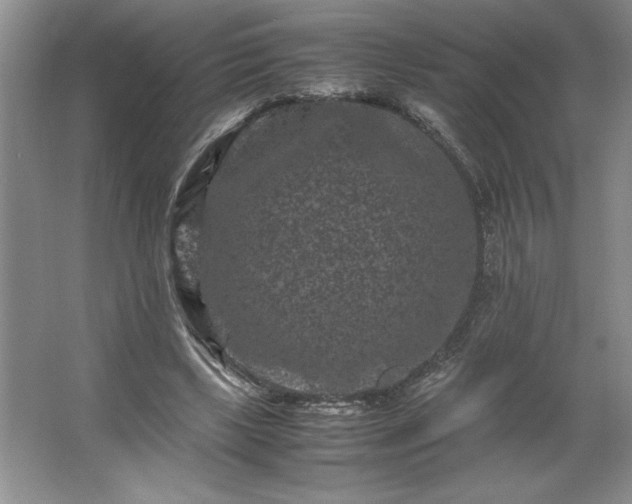 X0000062630443200512281559