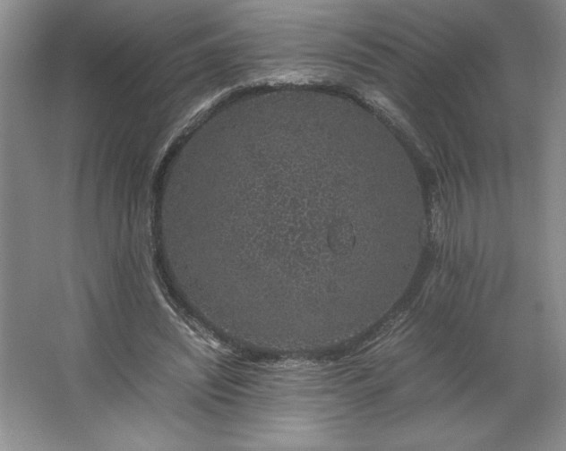 X0000062630444200512281559