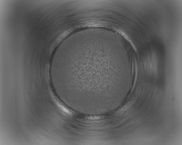 X0000062630445200512281559