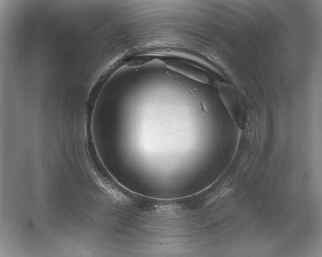 X0000062630446200512281559