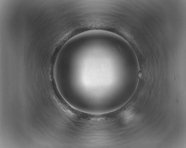 X0000062630450200512281559