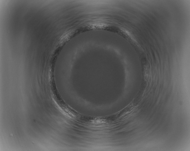 X0000062630451200512281559