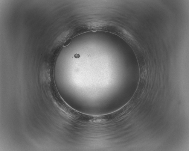 X0000062630452200512281559