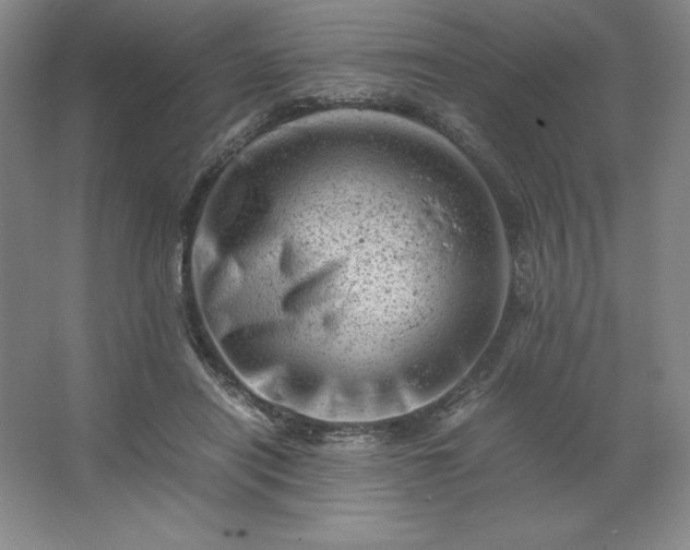 X0000062630454200512281559