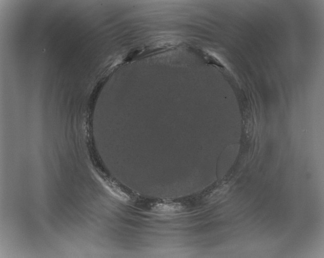 X0000062630455200512281600