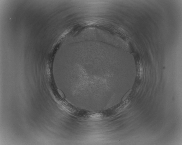 X0000062630456200512281600