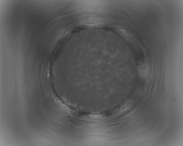 X0000062630458200512281600