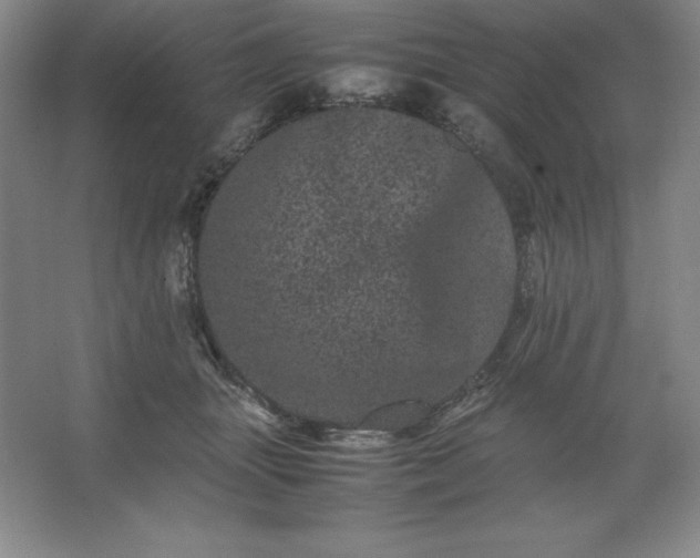 X0000062630463200512281600