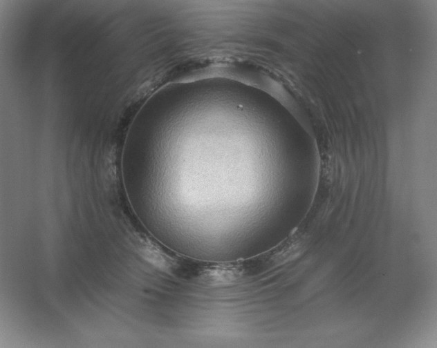 X0000062630466200512281600