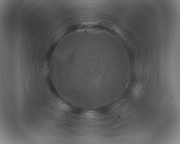 X0000062630467200512281600