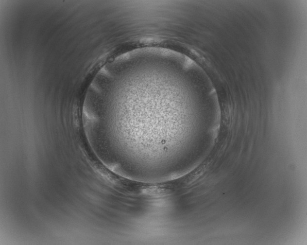 X0000062630470200512281600