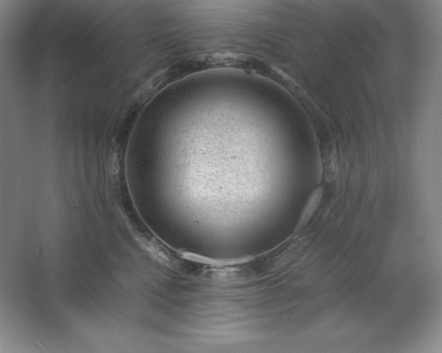 X0000062630472200512281600