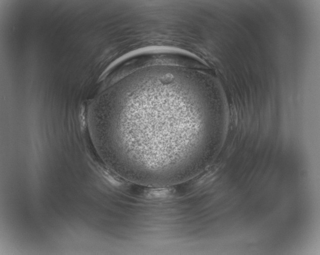 X0000062630479200512281600