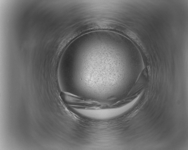 X0000062630481200512281559