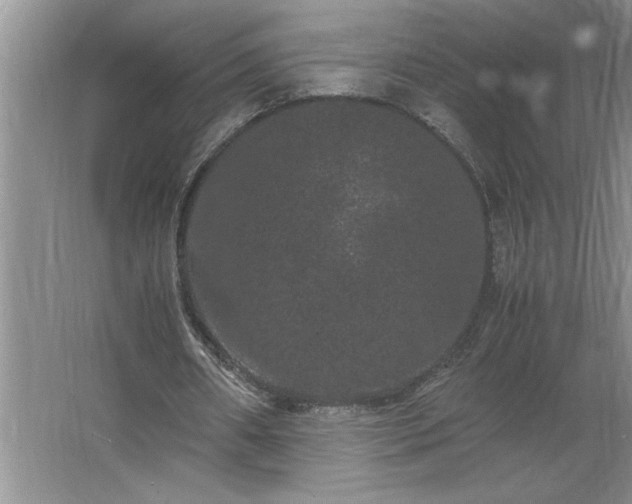 X0000062630482200512281559