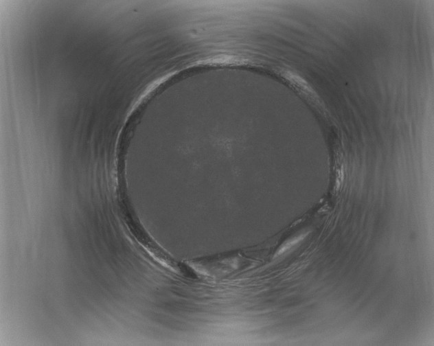 X0000062630484200512281559