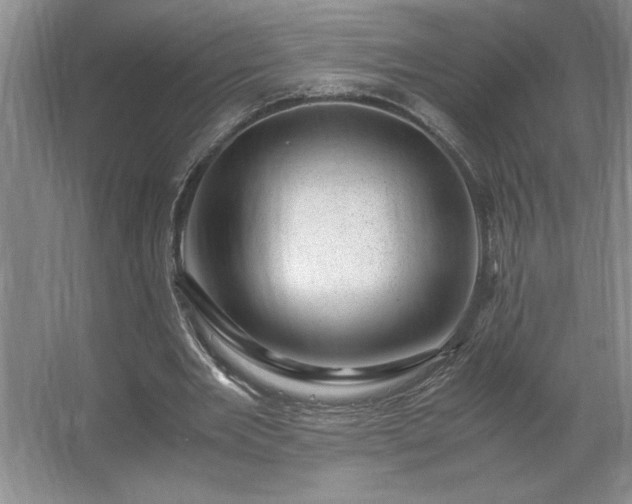 X0000062630485200512281559