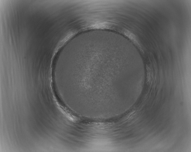 X0000062630486200512281559