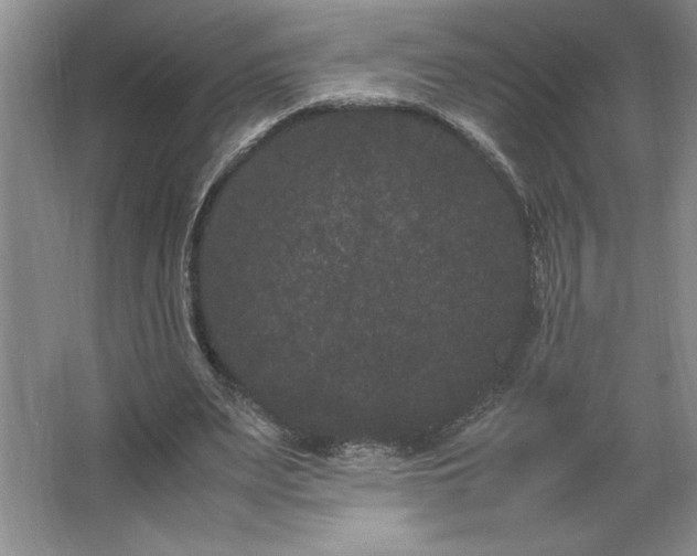 X0000062630487200512281559