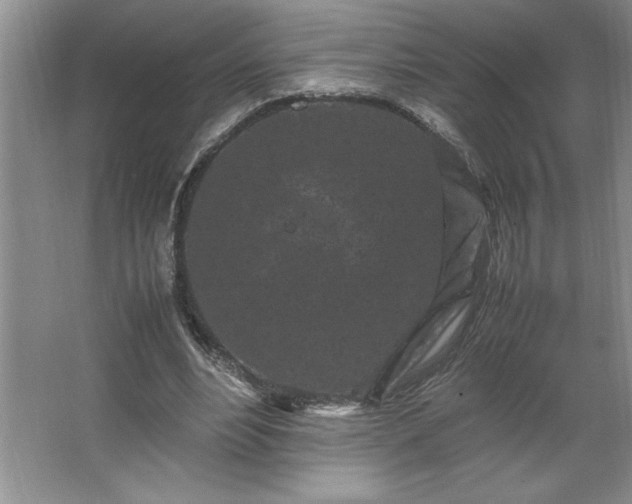 X0000062630488200512281559