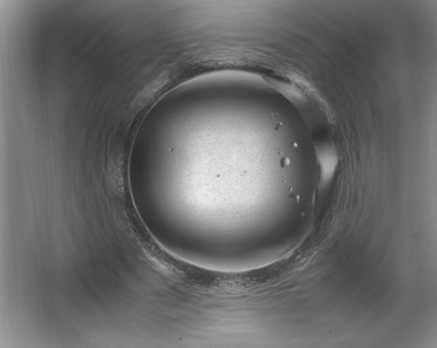 X0000062630489200512281559