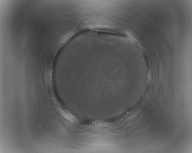 X0000062630491200512281559