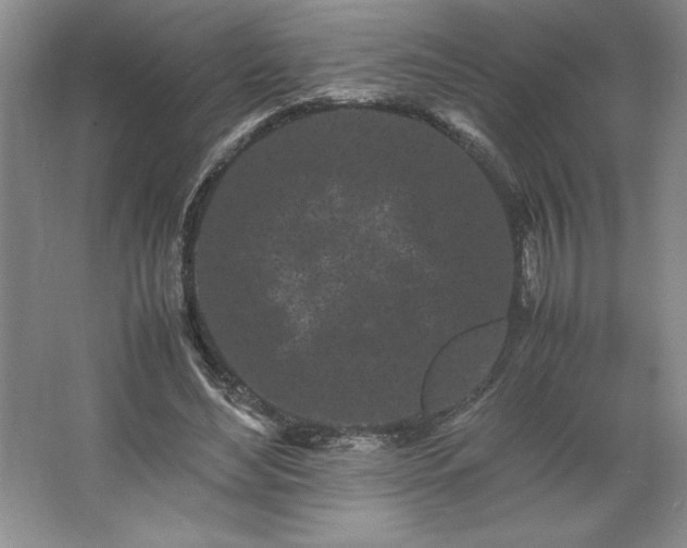 X0000062630492200512281559