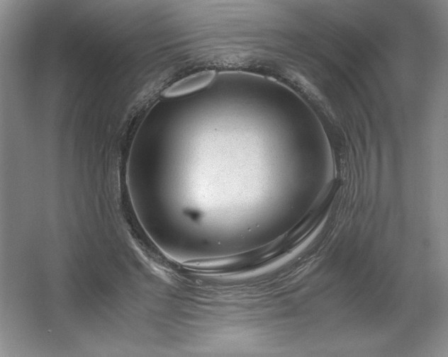 X0000062630493200512281559