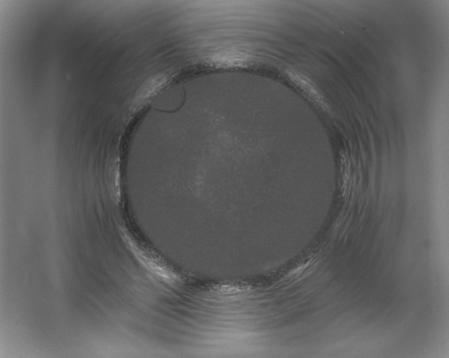 X0000062630494200512281559