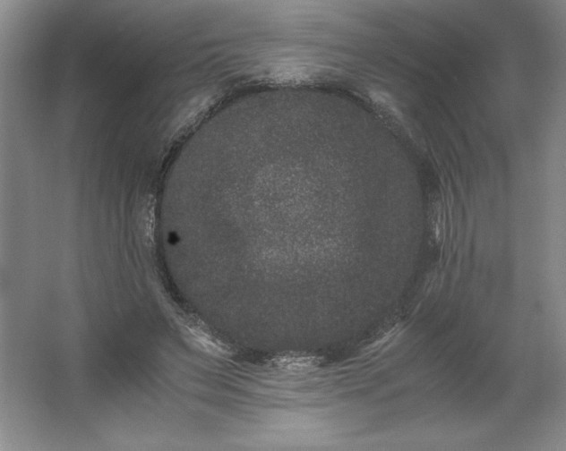 X0000062630495200512281559