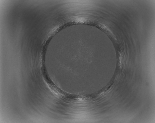 X0000062630496200512281559