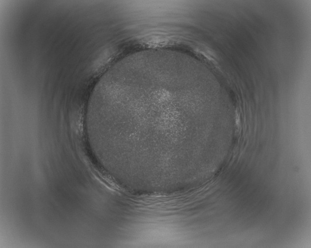 X0000062630499200512281559