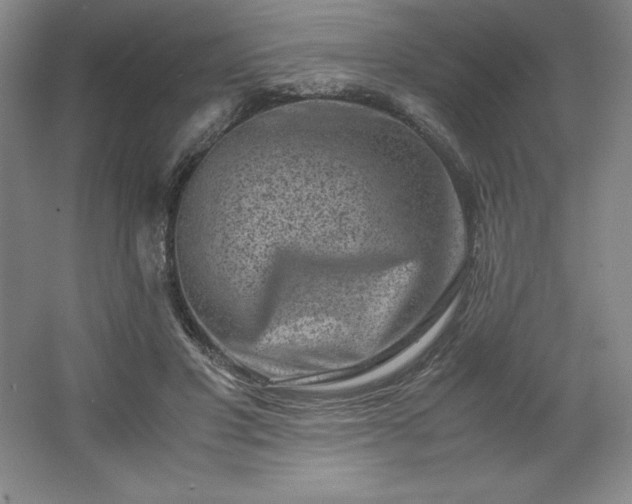 X0000062630501200512281559