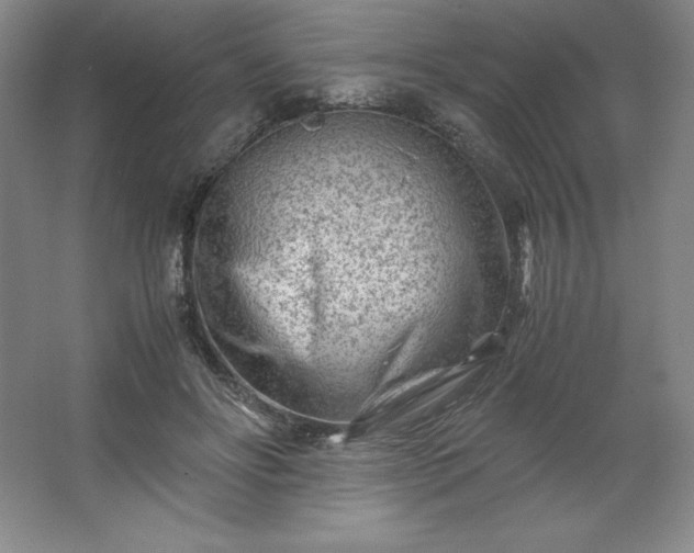 X0000062630502200512281559