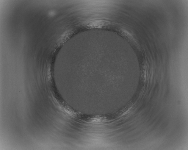 X0000062630504200512281559