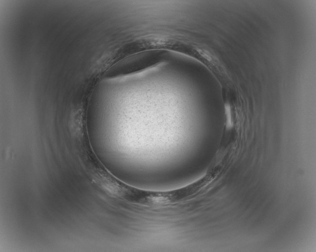 X0000062630509200512281559