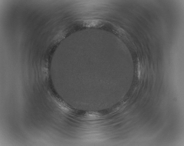 X0000062630510200512281559