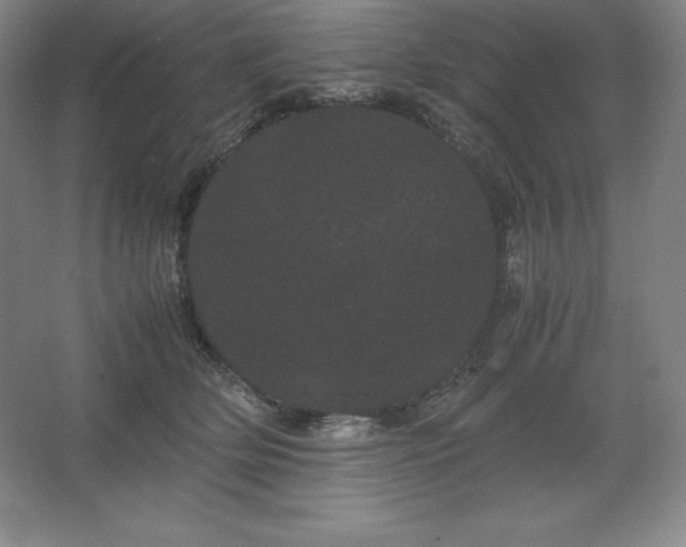 X0000062630514200512281559