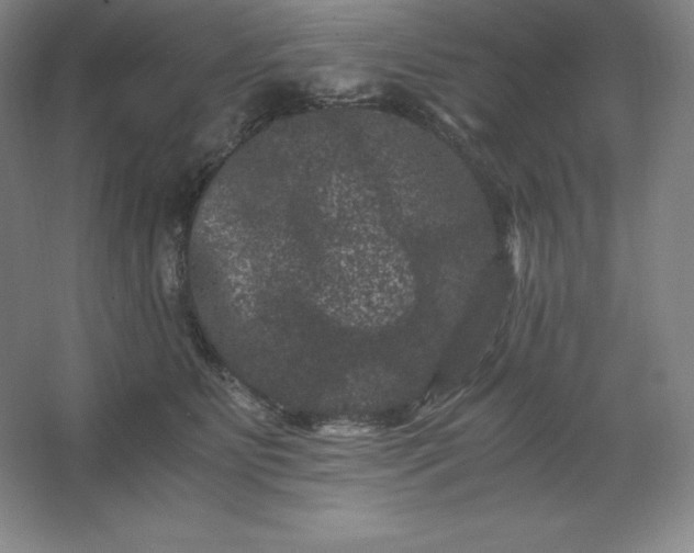 X0000062630515200512281559