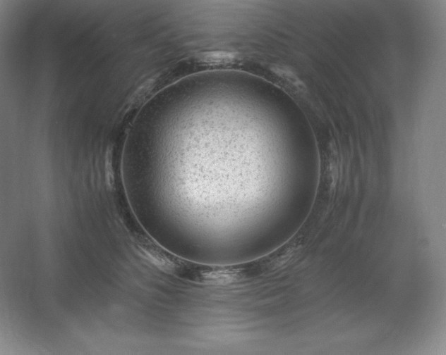 X0000062630516200512281559