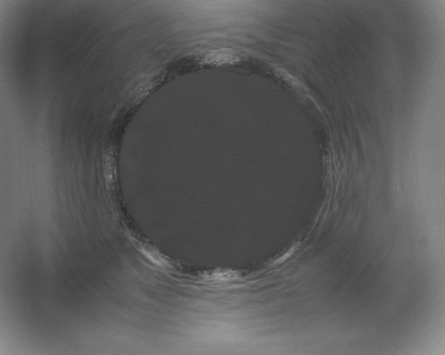 X0000062630517200512281559