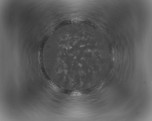 X0000062630519200512281558