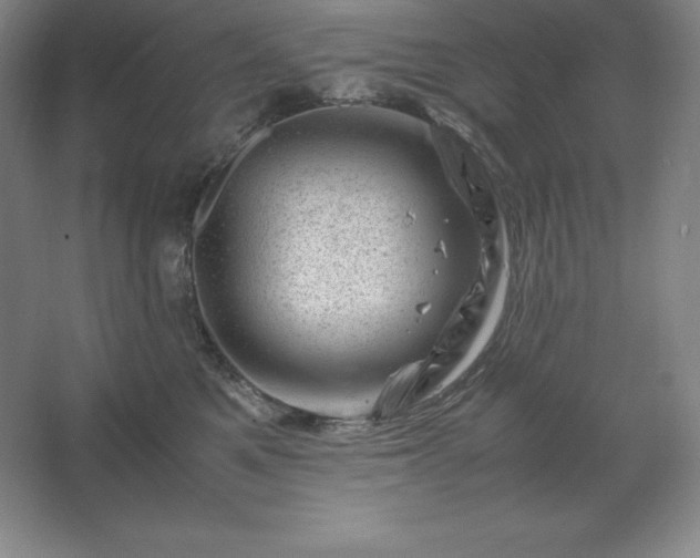 X0000062630521200512281558