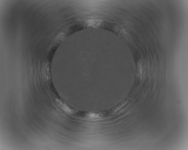 X0000062630522200512281558