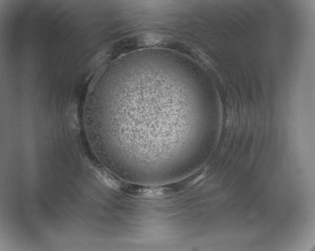 X0000062630524200512281558